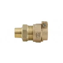 1" MIP x CTS Pack Joint Adapter